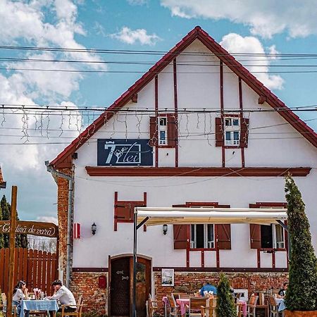 Pensiunea 7 Tei Cisnadioara Bagian luar foto