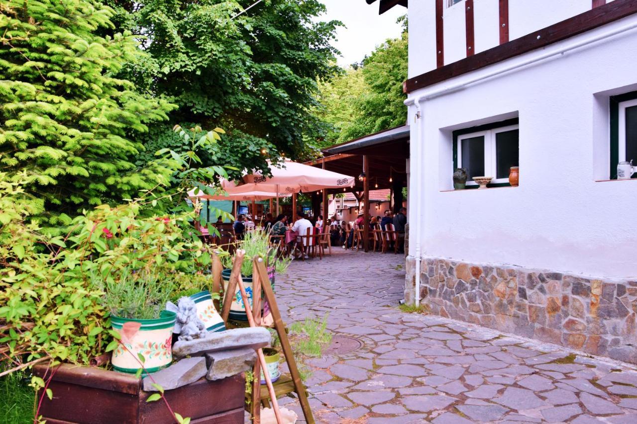 Pensiunea 7 Tei Cisnadioara Bagian luar foto
