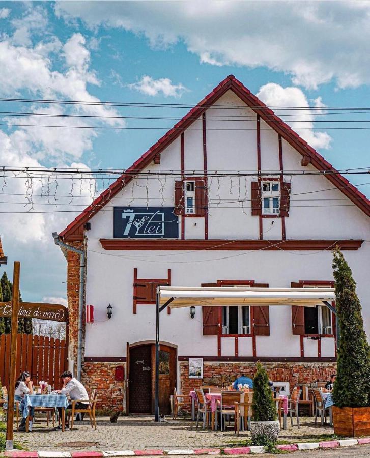 Pensiunea 7 Tei Cisnadioara Bagian luar foto